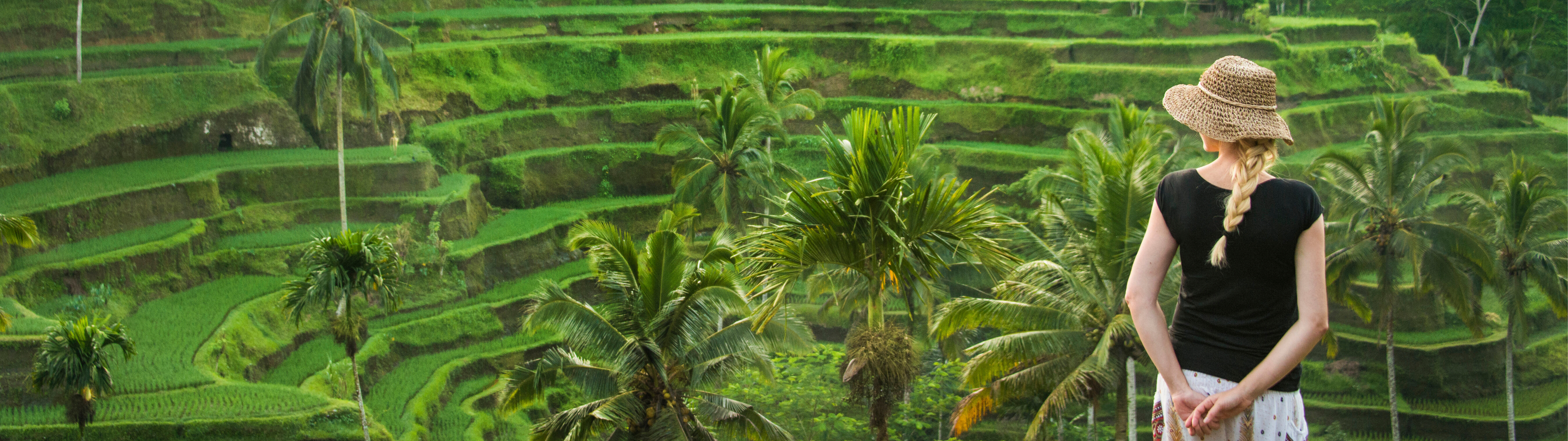 Header_Japanische Enzephalitis